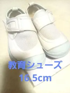 Item thumbnail for item 9004e880-76c0-4942-982b-90ef81002886