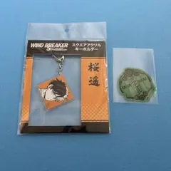 ウィンブレ展 桜遥 アルティメタルキャラバッジ 缶バッジ - メルカリ
