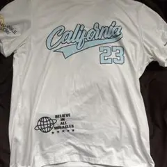 Item thumbnail for item 5a75fc35-3221-4ca5-b295-923a14321b1b