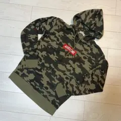 Item thumbnail for item 81060e44-b17e-42e9-9078-2baafbc3f44f