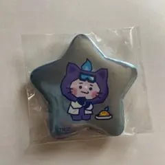 スターカンバッジコレクション