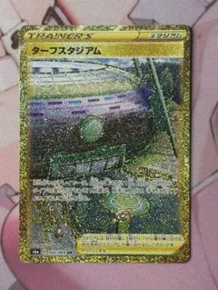 ターフスタジアム UR 強化拡張パック イーブイヒーローズ キラ 100/069