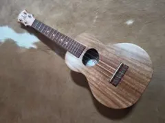 KoAloha KCO-10 Opio コアロハ オピオ コンサートウクレレ