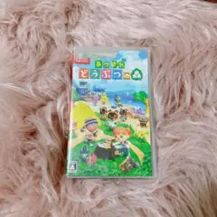 あつまれ どうぶつの森 Nintendo Switch