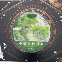 1281】海外 マステ 5m巻 貝殻光マスキングテープ 青い薔薇 お花系