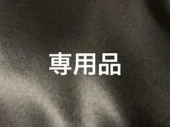 Ruka Rusa様専用 フィロデンドロン ホワイトプリンセス ハーフムーン