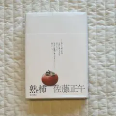 熟柿 佐藤正午著 講談社