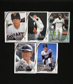 Item thumbnail for item 73c6af3e-731b-47b0-ad69-0f84279ea1e6