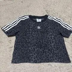 Item thumbnail for item 2ede62b9-eecc-4540-8314-6dc2499e7558