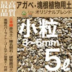 【三本線赤玉土使用】アガベ・塊根植物用土「小粒」 5㍑ グラキリス 現地株 実生のサムネイル
