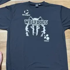 ウルフドッグス名古屋 練習着非売品激レア水町泰杜小川智大 - メルカリ