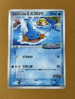 ポケパークのミズゴロウ　048/PCG-P プロモ