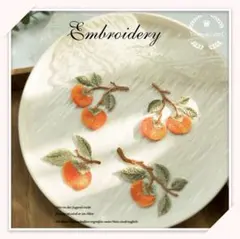 HN07 刺繍アイロンワッペン　【セット】　植物　柿　果物