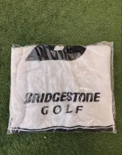 Item thumbnail for item c79291a4-dc9d-4cd2-b6a7-959eb6f91298