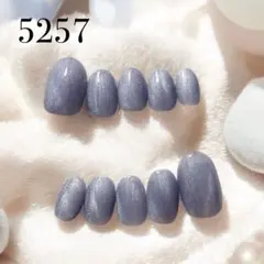 5257★ネイルチップ★ハンド★24枚セット★ショートオーバル