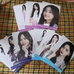 乃木坂46 井上和 生写真 乃木コレ コンプセット まとめ売り