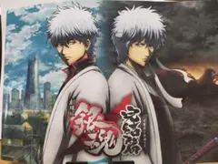 劇場版銀魂 完結篇 映画パンフレット