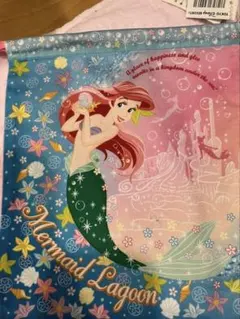 東京ディズニーリゾートのアリエルが描かれた巾着袋