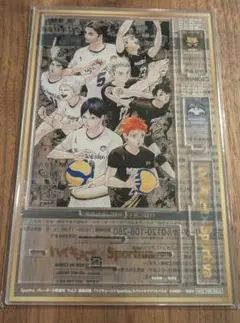 ハイキュー!! Sportiva Vol.3 アクリルパネル