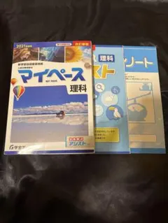 Item thumbnail for item 1ca0cd2f-e4ce-4129-9bf9-13403e1bd4b0