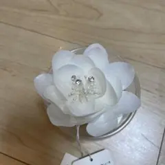 Item thumbnail for item 75e67722-a708-48c8-ac4c-34f725059261