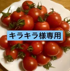 キラキラ様専用　アルル　ほれまる　種　ミニトマト　種子