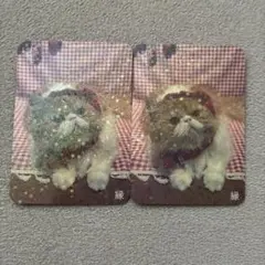 【あや様　専用】