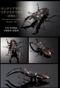 Item thumbnail for item aeb1ce38-c348-4e3e-8534-aef613be6db1