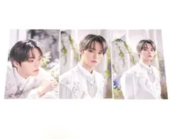 straykids maniac アンコン ラントレ ランダムトレカ リノ 3種