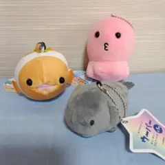 もちぷに水族館しゅーごー くまのみ、タコ キューキューマスコット、ウーパー