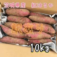 新さつまいも　紅はるか　送料無料　(10 kg+α)　訳あり　B品甘味出てます