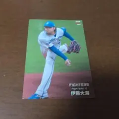 プロ野球チップス 2024 伊藤大海 エラーカード 176m - メルカリ