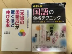 Item thumbnail for item 45c92a09-e3e5-4b8a-9c93-194147989add