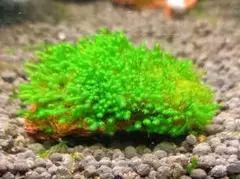 Naru様 リクエスト 2点 まとめ商品