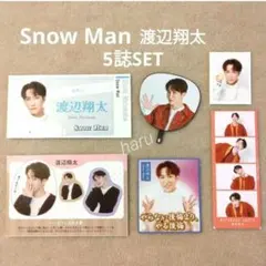 TVガイド ザテレビジョン TVfan 切り抜き Snow Man 渡辺翔太