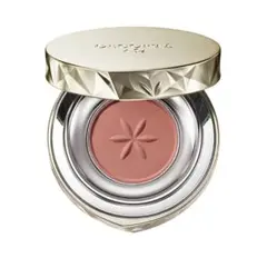 めろめろめろ様専用　DECORTÉ コスメデコルテ　AQアイシャドウ 02