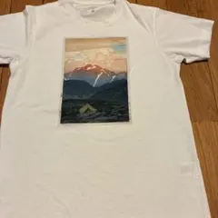 90年代ヴィンテージPatagonia 吉田博.Tシャツ　黒部十字峡L 90年代ヴィンテージPatagonia 吉田博.Tシャツ 黒部十字峡L
