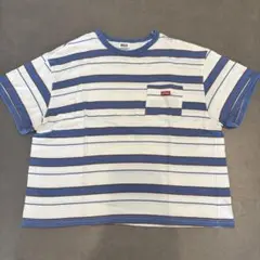 BREEZE ストライプ Tシャツ サイズ140
