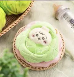 ちいかわ Chiikawa Baby キャベツに包まれたうさぎマスコット