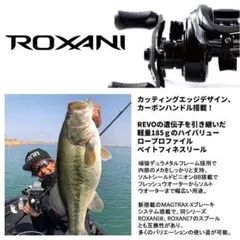 アブ・ガルシア ロキサーニ7 コルクハンドルノブ DFLノブ付き！ - メルカリ