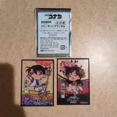 名探偵コナン　大阪城　特典　フィルム　新一・蘭