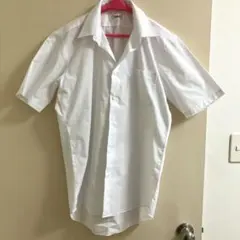 Item thumbnail for item 3daa2a7d-aef4-4828-bf99-bb34459c8342