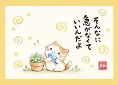 筆文字アート　多肉とねこ ポストカード　フレームなし☆