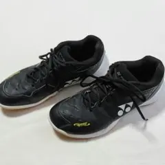 Item thumbnail for item 1ab4b518-1092-43aa-babb-b97cce6cffd3