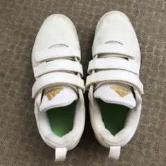 Item thumbnail for item f871fdf8-857b-427c-a92f-000895007140