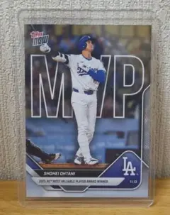 Item thumbnail for item 076e49ce-0e60-4f08-a02b-4ae9cf32e559