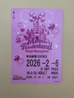 ディズニーリゾートライン フリーきっぷ 使用済 リゾラ