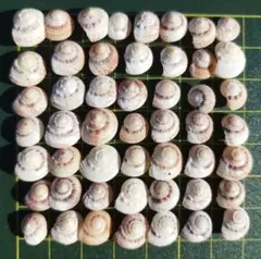 Yui様 リクエスト 2点 まとめ商品