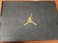 Air Jordan Mid 9.5 ブラック/ブルー