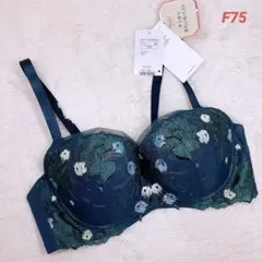 F75 トリンプ　レッドレーベル　すっきりきれいなバスト　ブラジャー